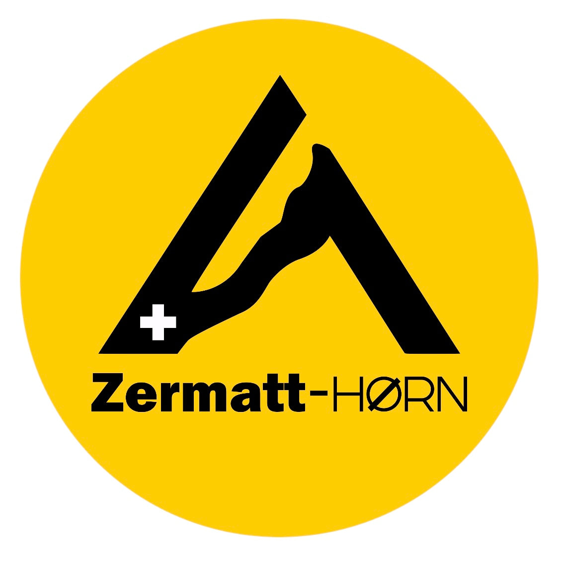 ZH05 Urban Roll-Top | Backpack 25L Cabin small bag 40x30x20cm